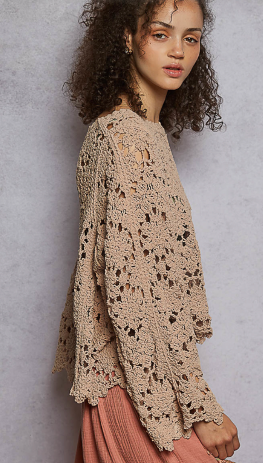 Crocheted Long Sleeve Top - Latte